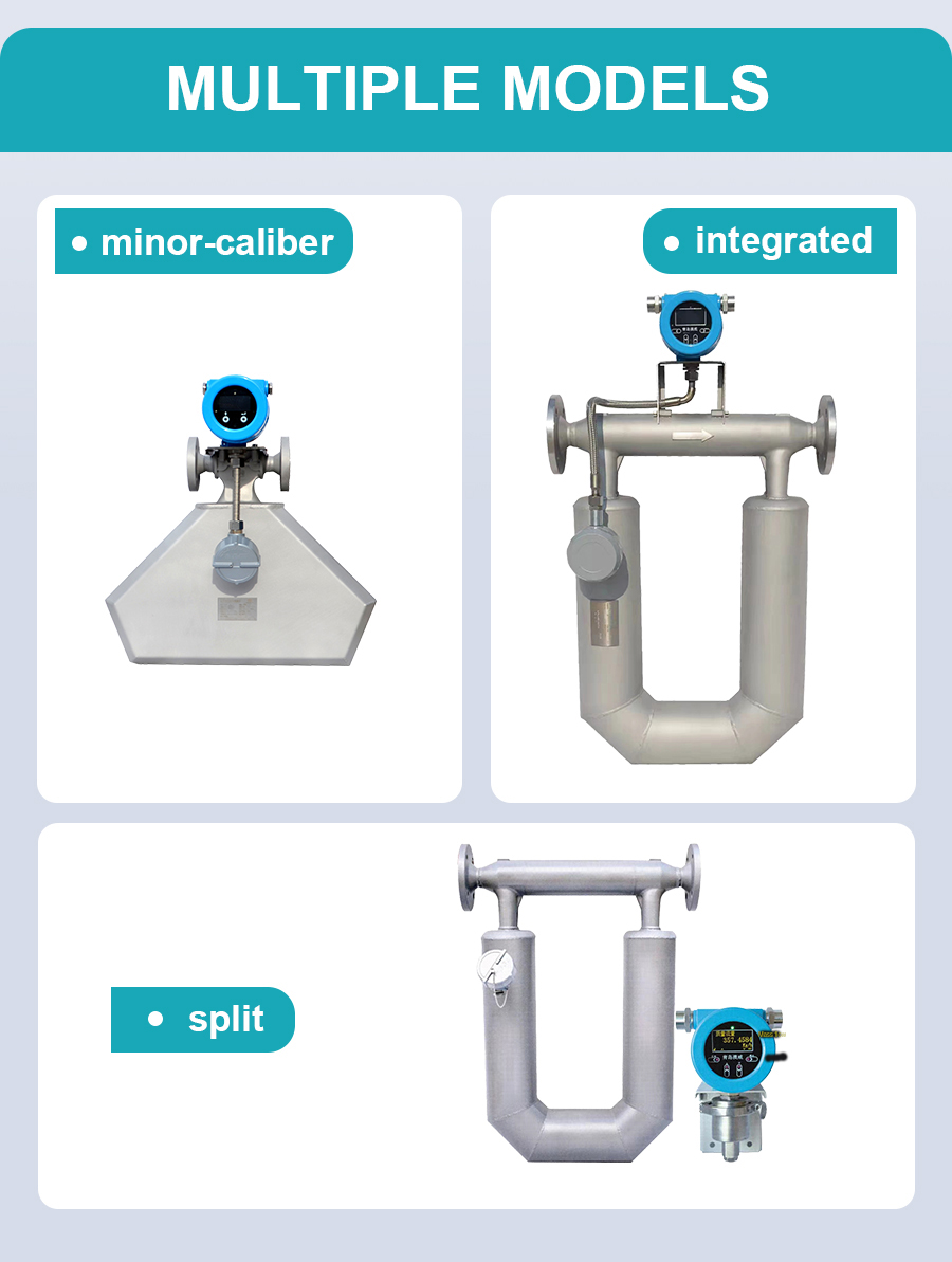 Straight Tube Coriolis Flow Meter for Water Level Instrument Straight Tube Coriolis Flow Meter for Water Level Instrument