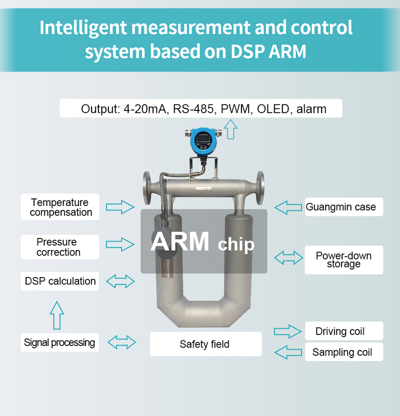 Straight Tube Coriolis Flow Meter for Water Level Meter Straight Tube Coriolis Flow Meter for Water Level Meter
