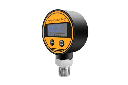 Digital Pressure Gauge