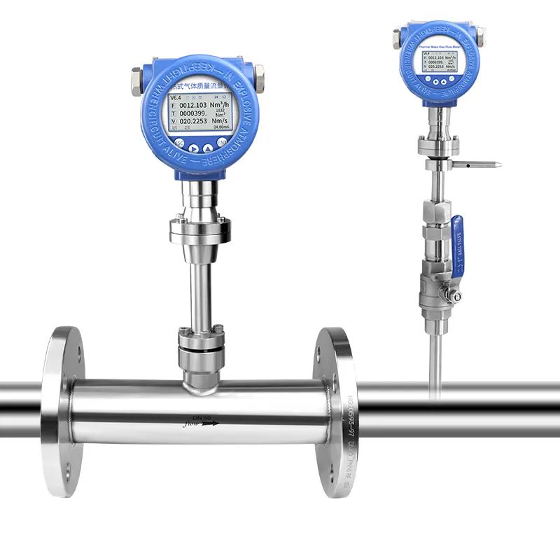 Biogas Flow Meter